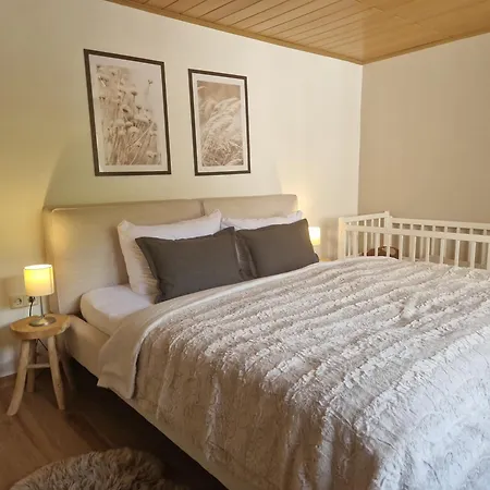 Zur Alten Burg/familientreffen/edersee Prázdninový dům *
